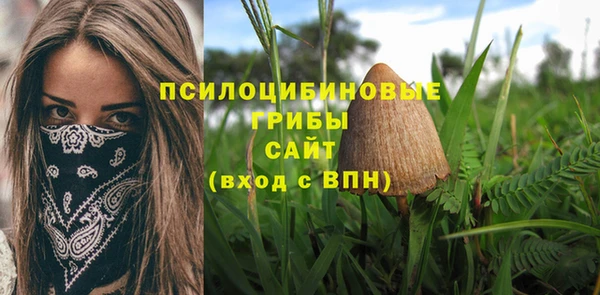 таблы Белокуриха