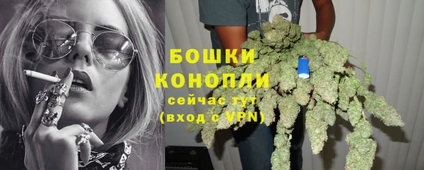 таблы Белокуриха