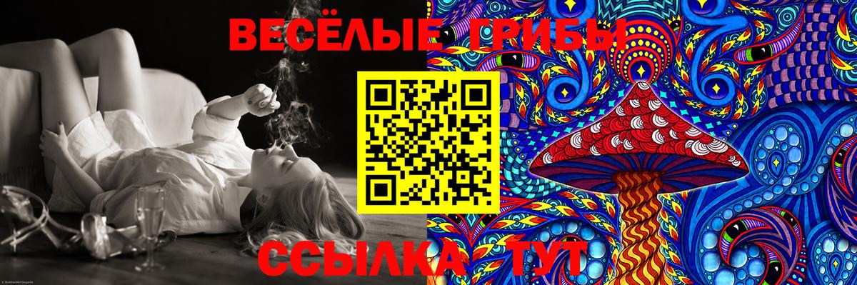 Псилоцибиновые грибы Psilocybine cubensis Вязьма