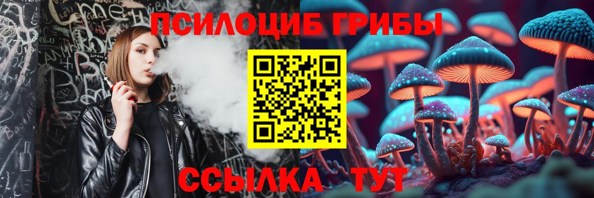 Вязьма  Псилоцибиновые грибы MAGIC MUSHROOMS  Псилоцибиновые грибы Psilocybine cubensis  Вход с VPN 